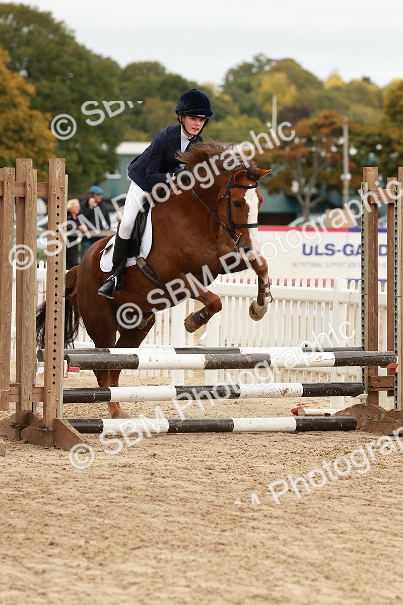 SBM_66913 - J13 - Junior Pony 60cm Championship