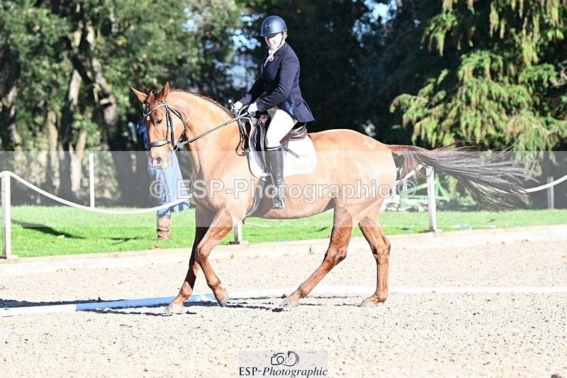 231110-131551-00895 - Cls 4 Novice 39Q