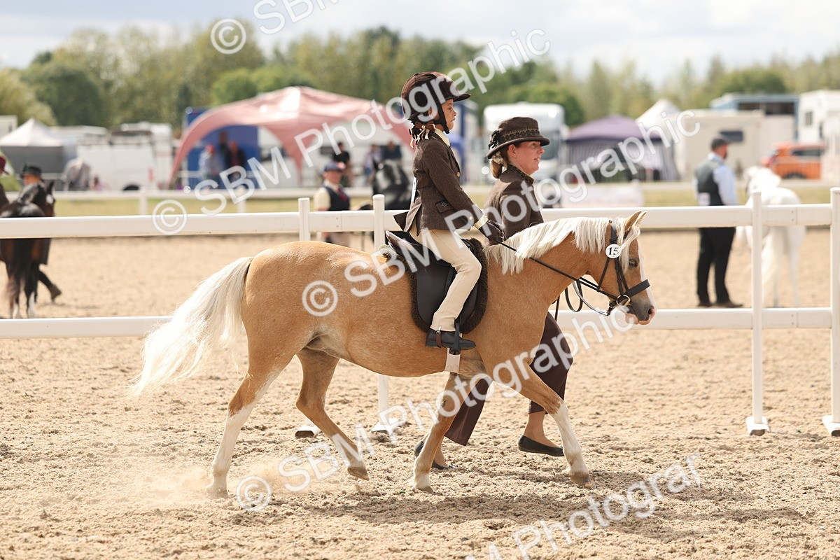 SBM_15761 - Class 309 - Lead Rein Pony