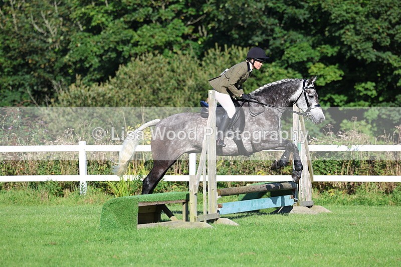 3E7A7534 - Class 1: Novice Working Hunter Pony
