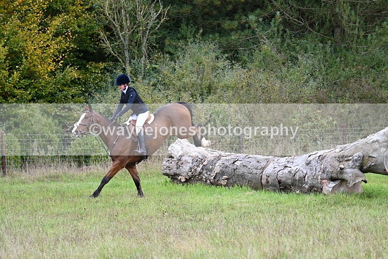 WJ7_3712 - Camera 1 Line 1