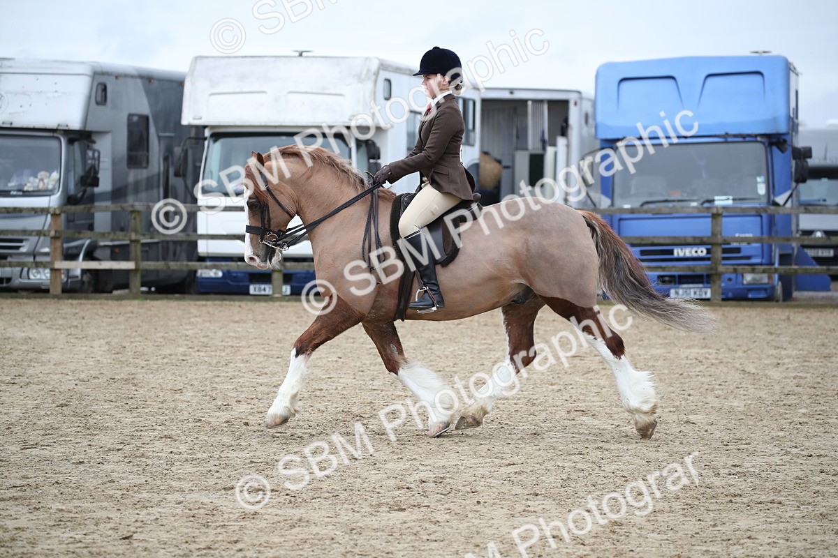 SBM_006139 - Class 10-13 - RIHS Small Large Breeds