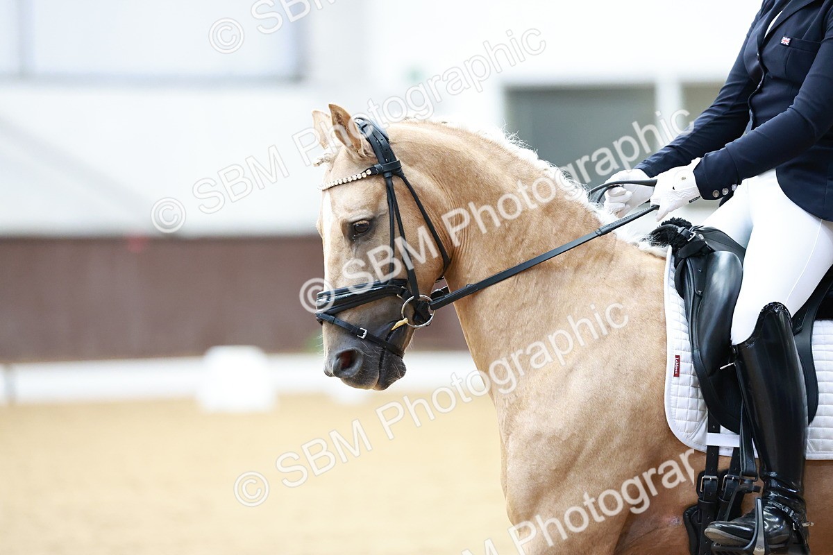 SBM_017301 - Class15 - FEI Pony