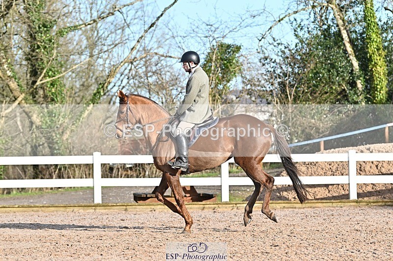 250125-102416-00164 - Dressage - CT Class 4 BE95 (80cm)