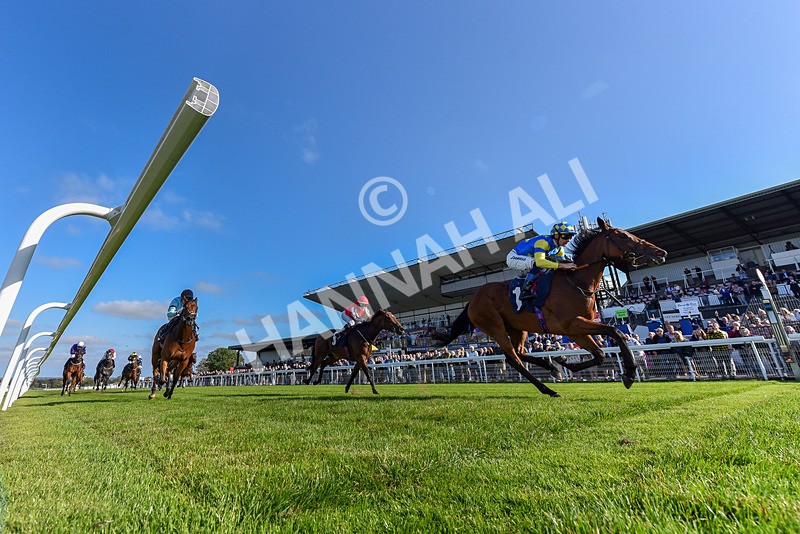 180924-Race 5-Blue Zodiac-7450 - Race 5