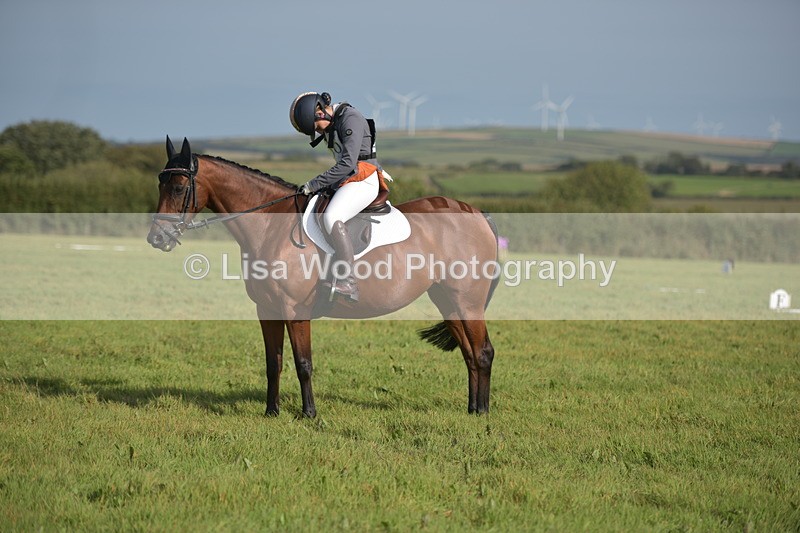 RAY_7597 - Class 2B: Trekenning Open: Dressage