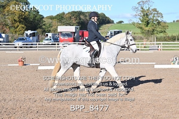 BPP_8477 - LONG ARENA