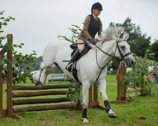 Dunblane show-501 - Dunblane and Doune Show Ring 1