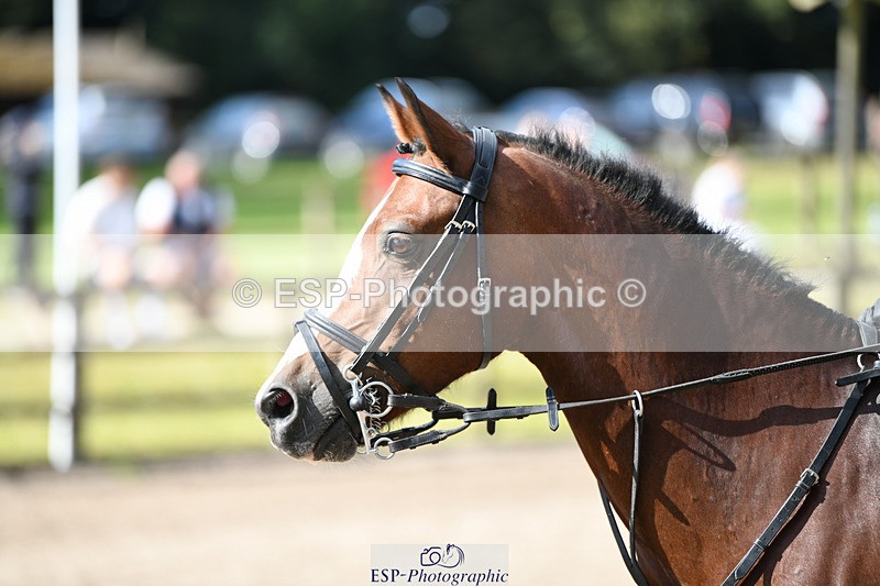 240825X-100953-30912 - 70cm SJ 9.15 to 10.21