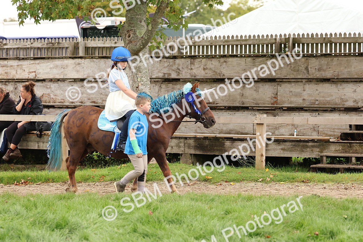 SBM_62148 - S37b - Best Unicorn