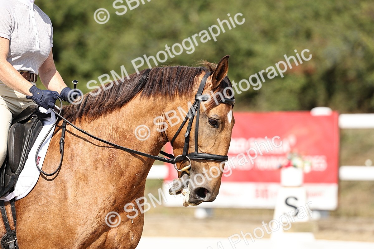 SBM_018633 - Class 16 - Novice 5 - 12.08-13.11