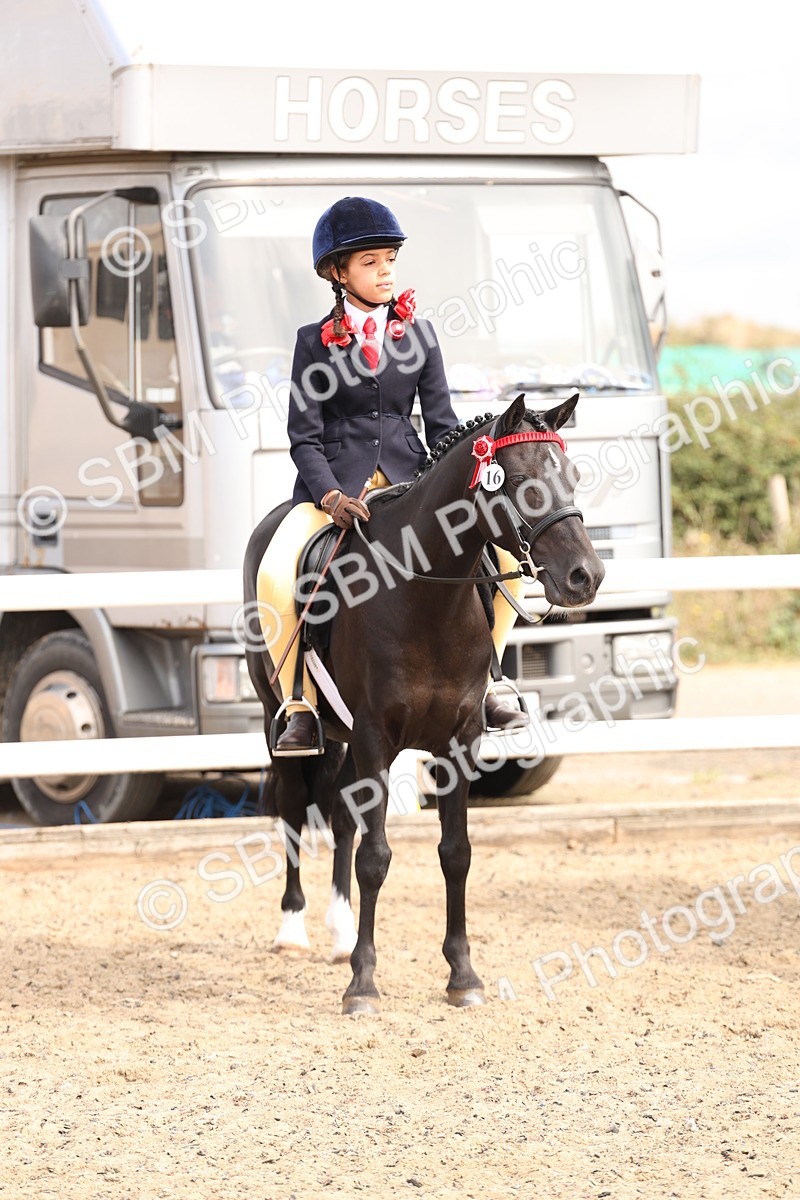 SBM_04289 - Class 54 - Riding Club Horse/Pony