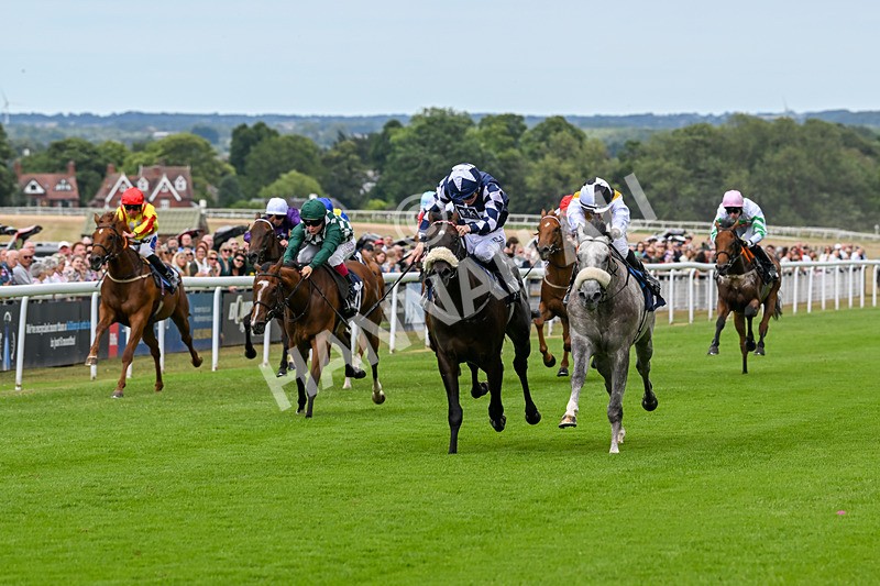 050725-Race 2-Mo Of Cairo-7501 - Race 2