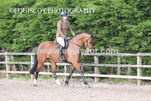 BPP_6945 - RING 1  (RIDDEN HORSES / IN HAND / VETERAN ETC)