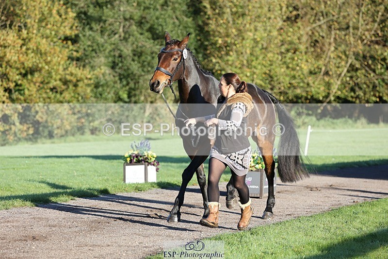 241027-084407-14781 - 362-Vicky.Stacey-HIGHDALE.AUTUMN.SUNRISE