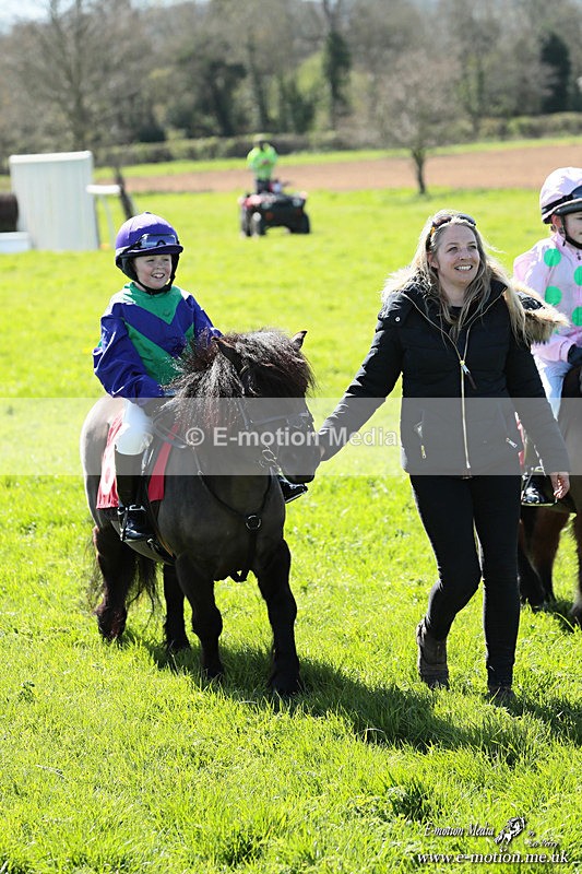 Shet 060426 384 - Shetland Pony Racing Paxford Races Easter Mon 06/04/26