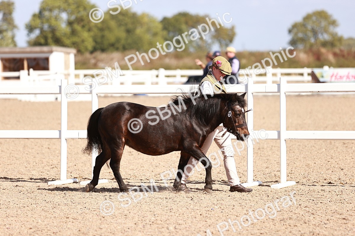 SBM_22940 - Class 707 - IH groom Helpers Class