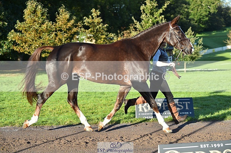 231022-092640-21792 - 690-JAZZ.QUARTET-Louise.Turner-smith-TrotUp+SJ