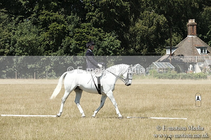 _PJP5951 - Dressage Classes BVRC Show 2018