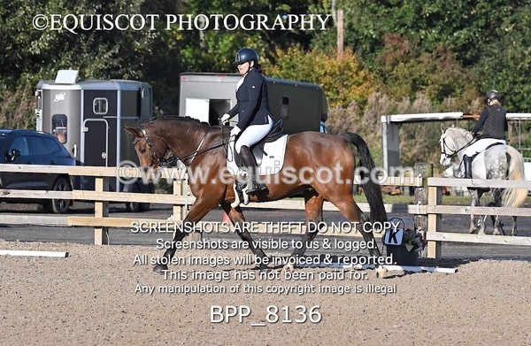 BPP_8136 - SHORT ARENA