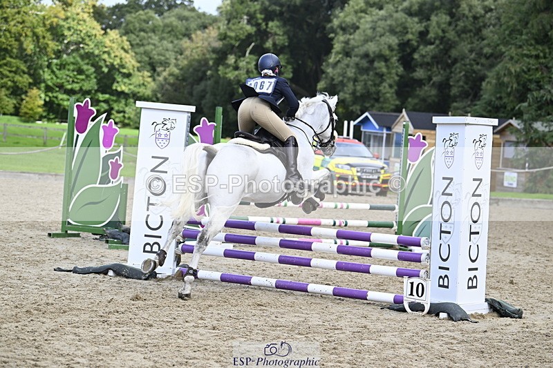 251005A-125141-03925 - Cls 08 Mini 70-75cm