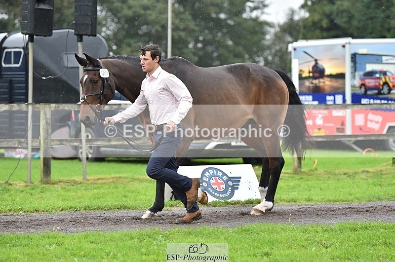 231018-125026-00558 - 071-BALLYVOGUE.OLYMPIC.VIEW-Duncan.Morgan-TrotUp