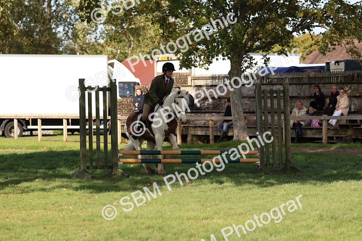 SBM_52475 - S13 - Pony Club Pony