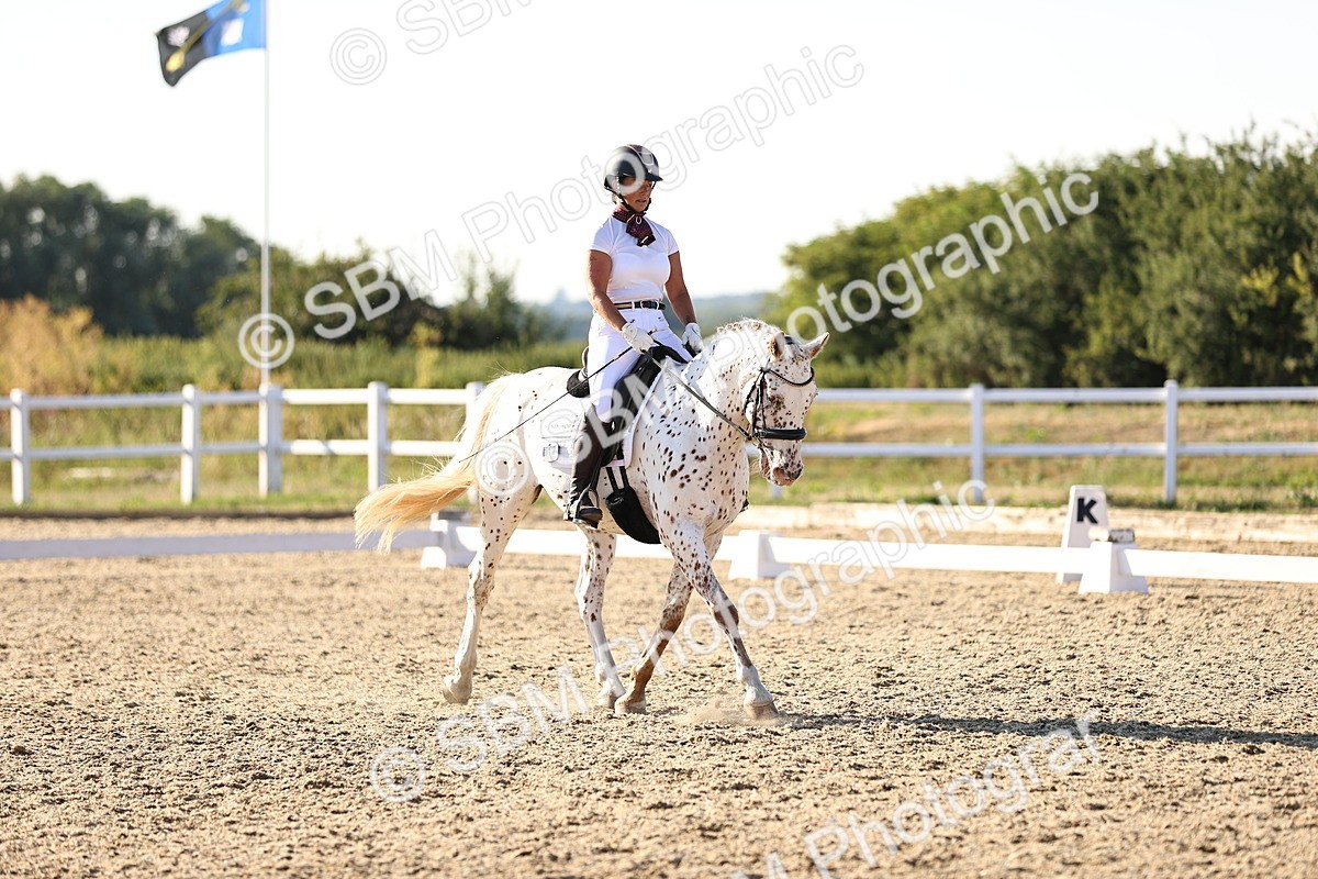 SBM_007804 - Elementary 4 - 17.07-18.22