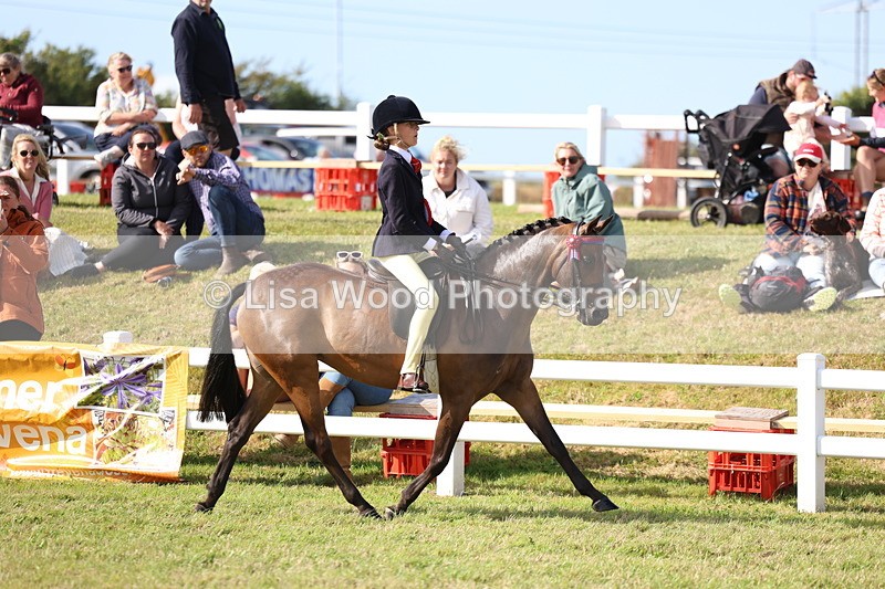 3E7A3815 - Supreme Championship