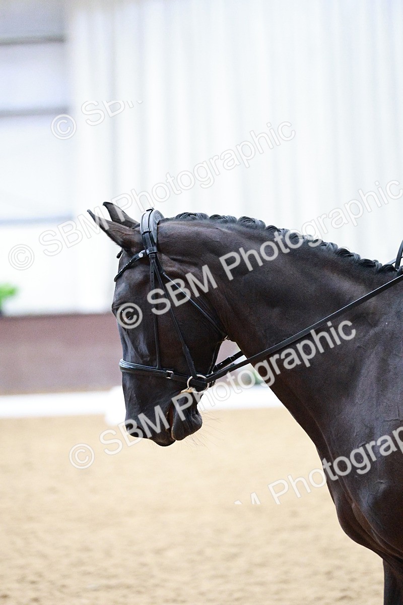 SBM_002595 - Class 7 - Elementary FSM -