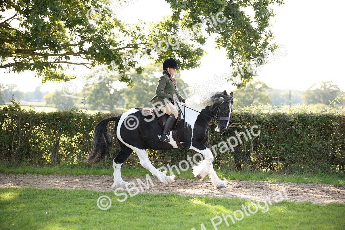 SBM_50124 - S26 - Young Veteran - Ridden