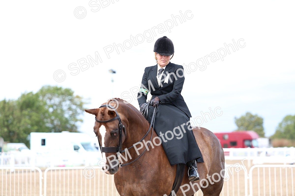 SBM_03358 - Class 23 - SSA Classical (any age)