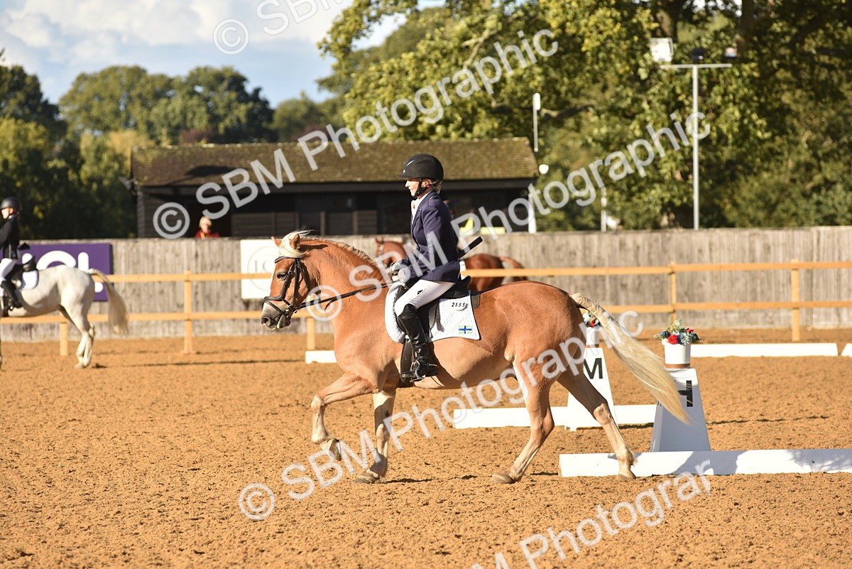 SBM_11410 - D28 - Elementary