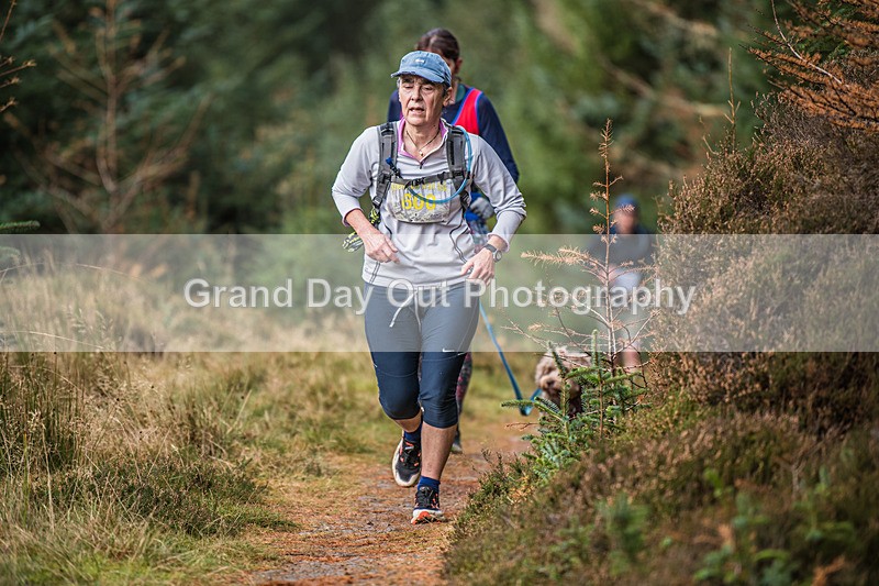 Glentress-910 - High Terrain Events Glentress 21 & 10K Trail Races Saturday 15th November 2025