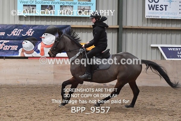 BPP_9557 - CLASS 6 70CM Intermediate Show Jumping