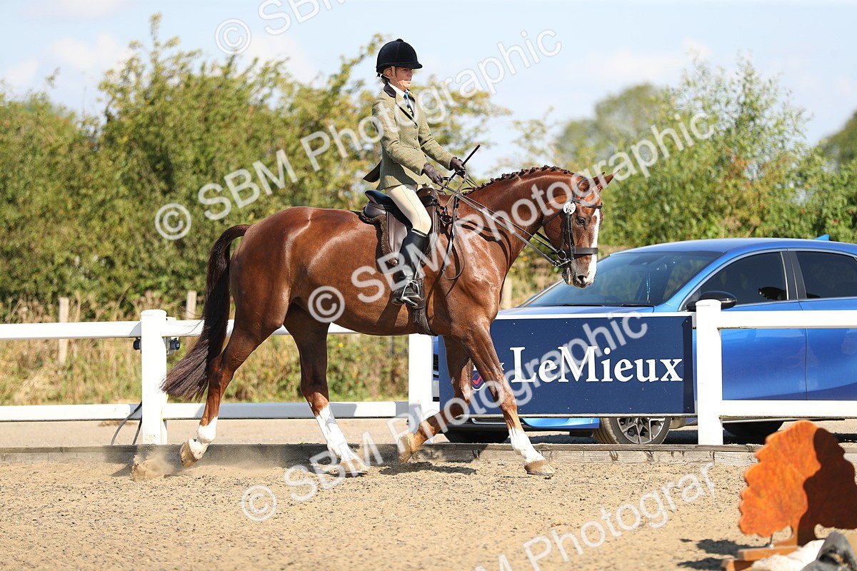 SBM_02339 - Class 43 Ridden Competition Horse/Pony