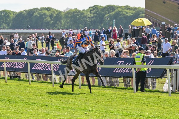 140525-Race 4-Whirl-2415 - Race 4 3.45pm Tattersalls Musidora Stakes
