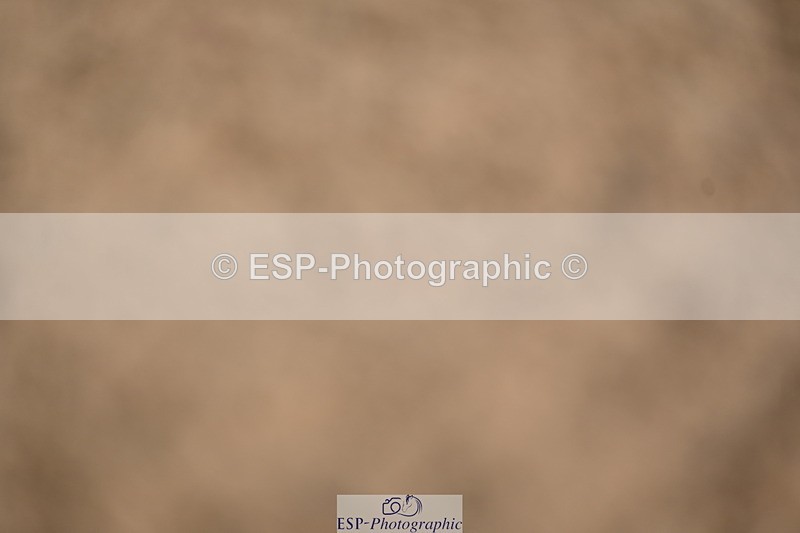 240323A-092616-00949 - MyQuest Intro A