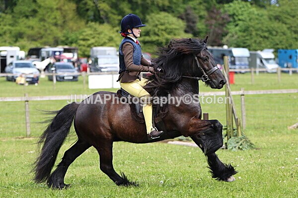 IMG_3286 - Working Hunter