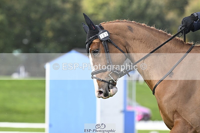 251023A-151439-04555 - E-387-Vittoria.Panizzon