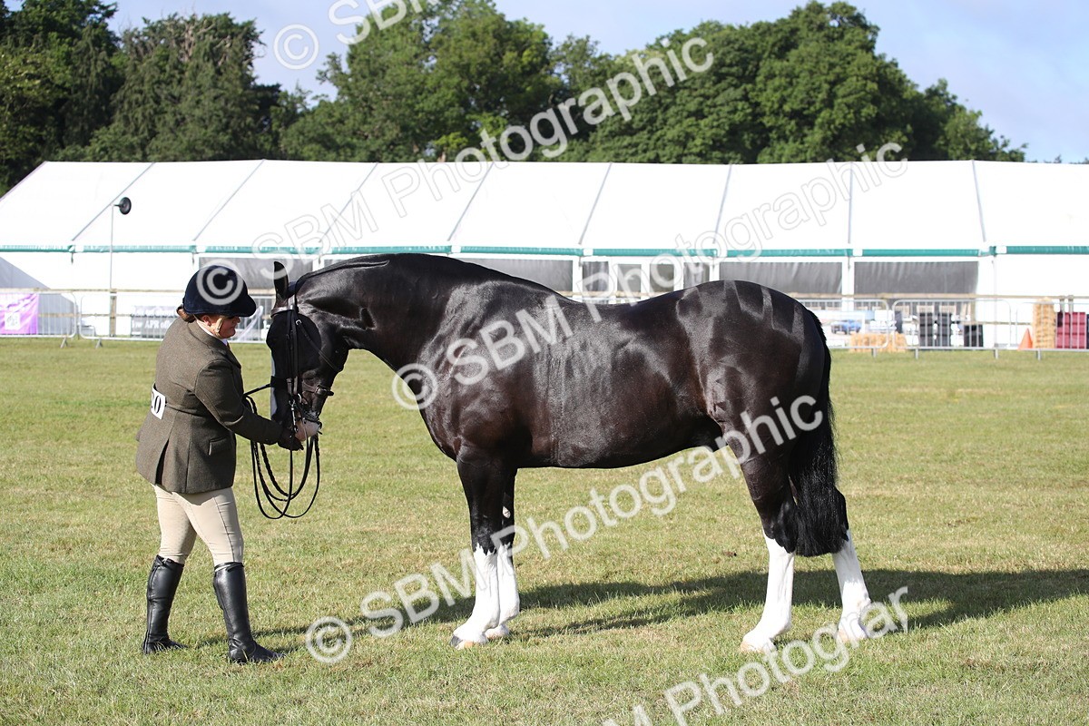 SBM_11114 - Class 92-93 - LIHS BSHA Rising Star Cobs