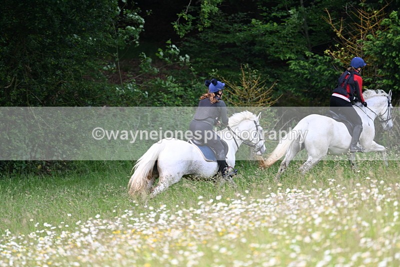 WJ7_8565 - Group 1 10am