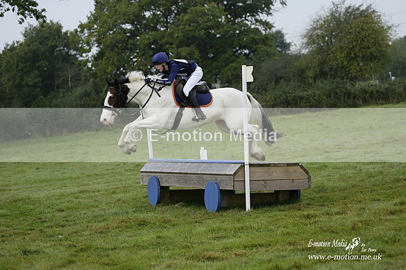 WWHT 171021 0216 - Novice Restricted (0.80m)  17/10/21