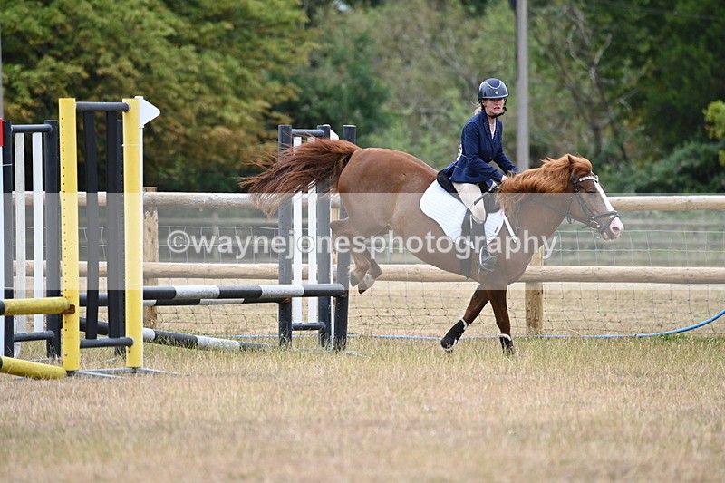 WJ6_0391 - Class 13 Novice Jumping 60cm