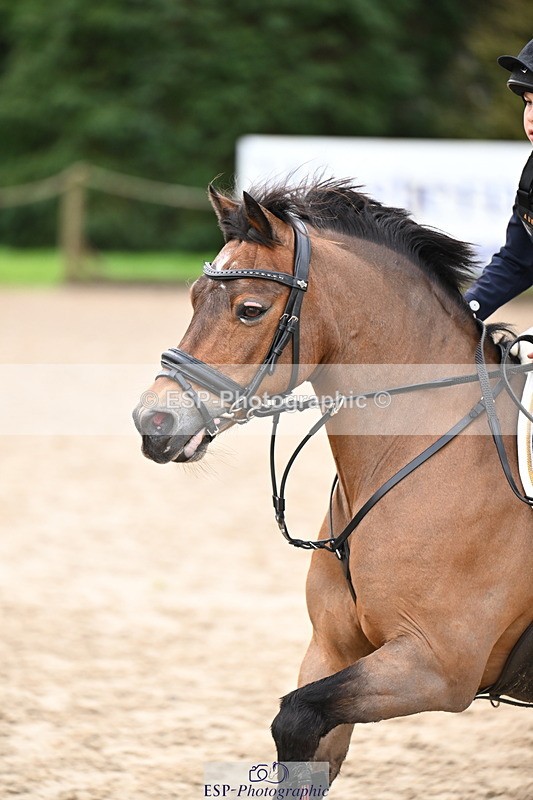 260222A-113628-00660 - 50cm All sections