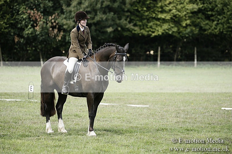 BVR090918 293 - BVRC Dressage and Show Jumping 09/09/18
