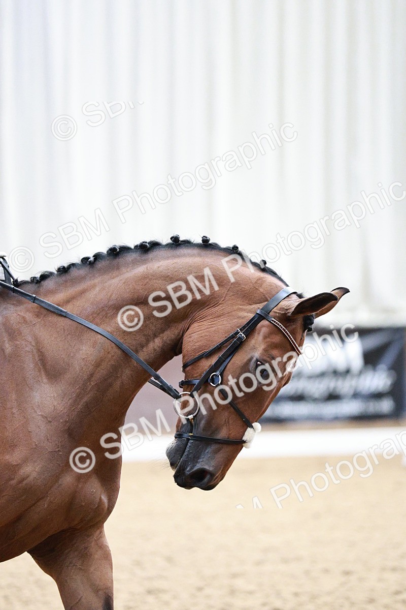 SBM_004660 - Class - 14 - Novice FSM - 11.13-12.01