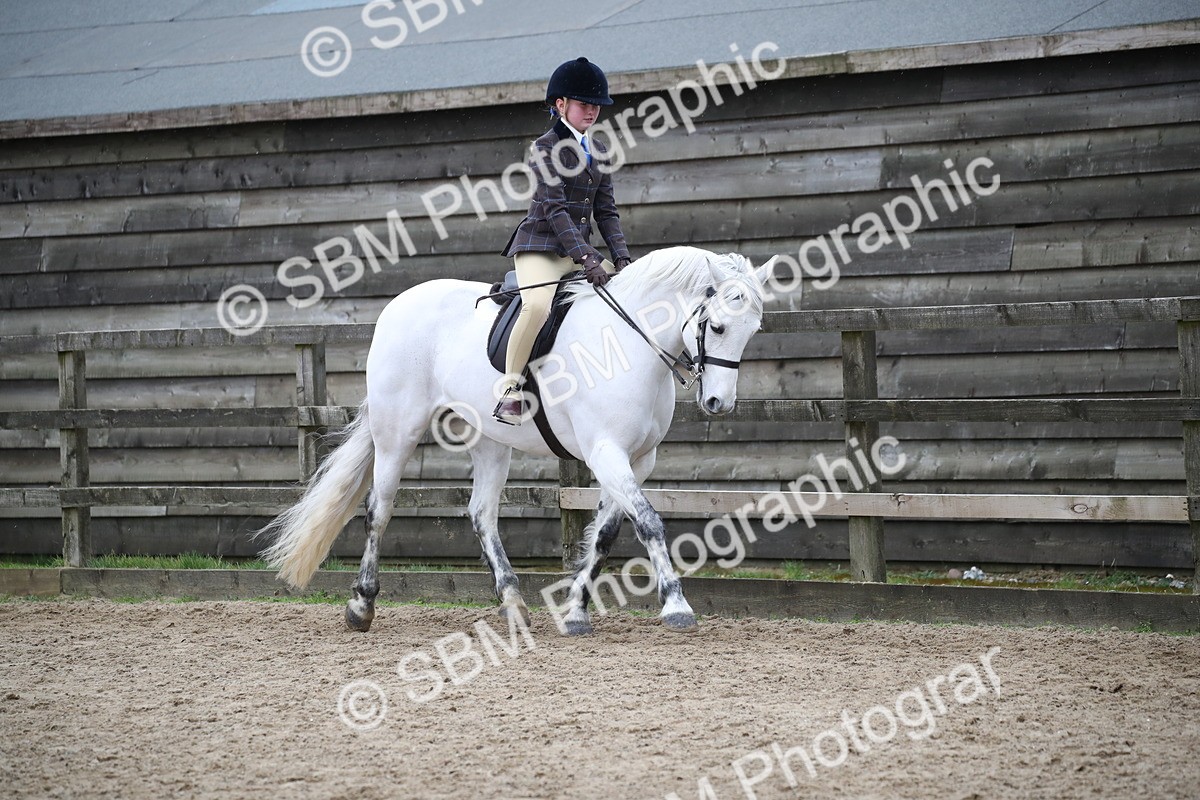 SBM_007339 - Class 10-13 - RIHS Small Large Breeds