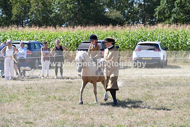 WJ6_8066 - Class 36 Lead Rein