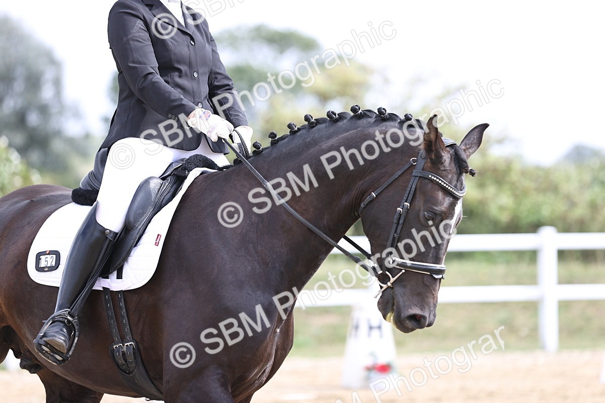 SBM_016131 - Class 14 - Novice 23 - 10.29-11.32